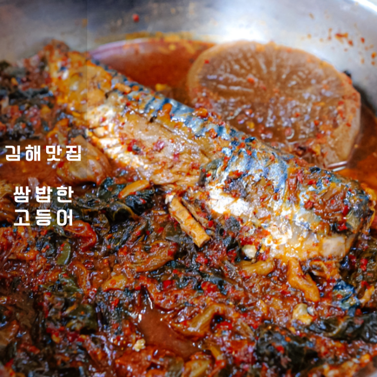  김해 쌈밥한고등어 먹고, 고등어 철 ,고등어조림 칼로리 알아봐요