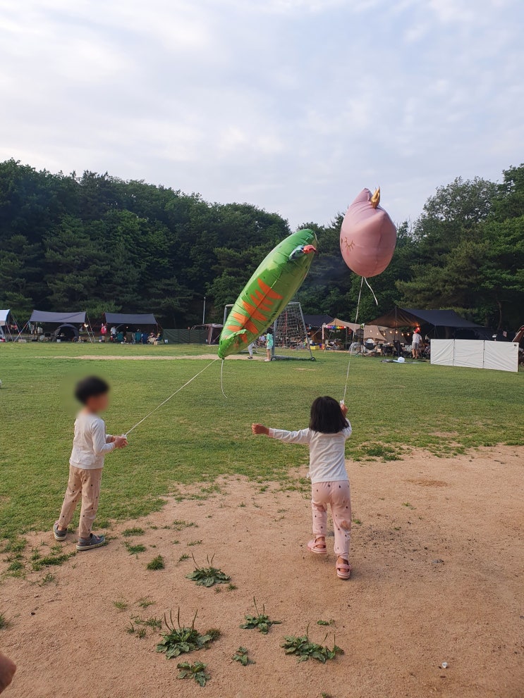 황새울캠핑장 아이들과 갔을때의 명당자리 추천