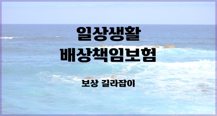  일상생활배상책임보험(일배책) 보상 내용 확인하고 가세요!!