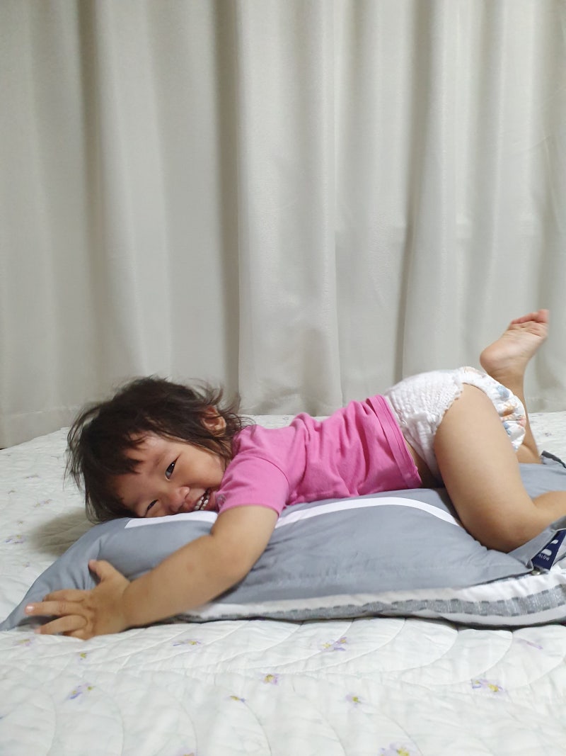홈랩 시원한 박나래기절베개 오리지널 커버로 교체해 봤어요