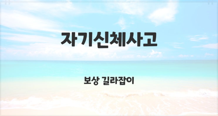  자동차 단독 교통사고 보상 자기신체사고(자손)에 대해서 확인해 보겠습니다!!