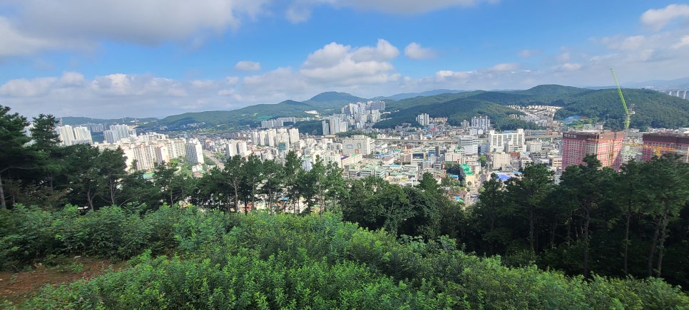 선배산 사진 6