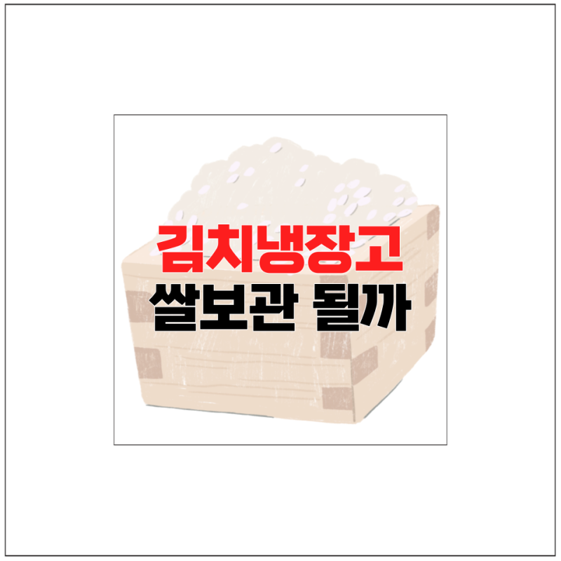 김치냉장고 온도 여름철 쌀보관 방법