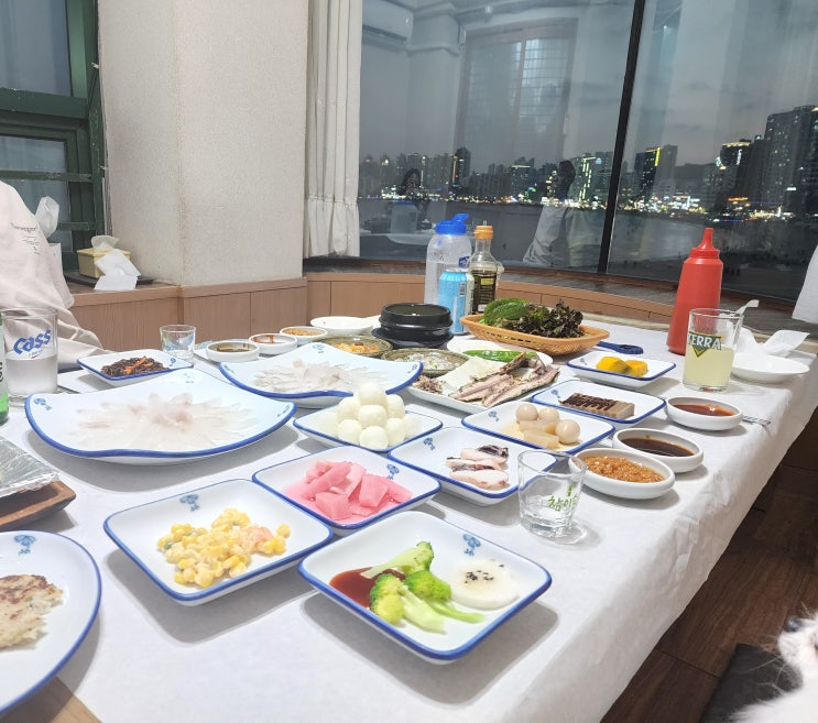  오션뷰에 싱싱하고 맛좋은 광안리 남해횟집 내돈내산 후기~ 애견동반 