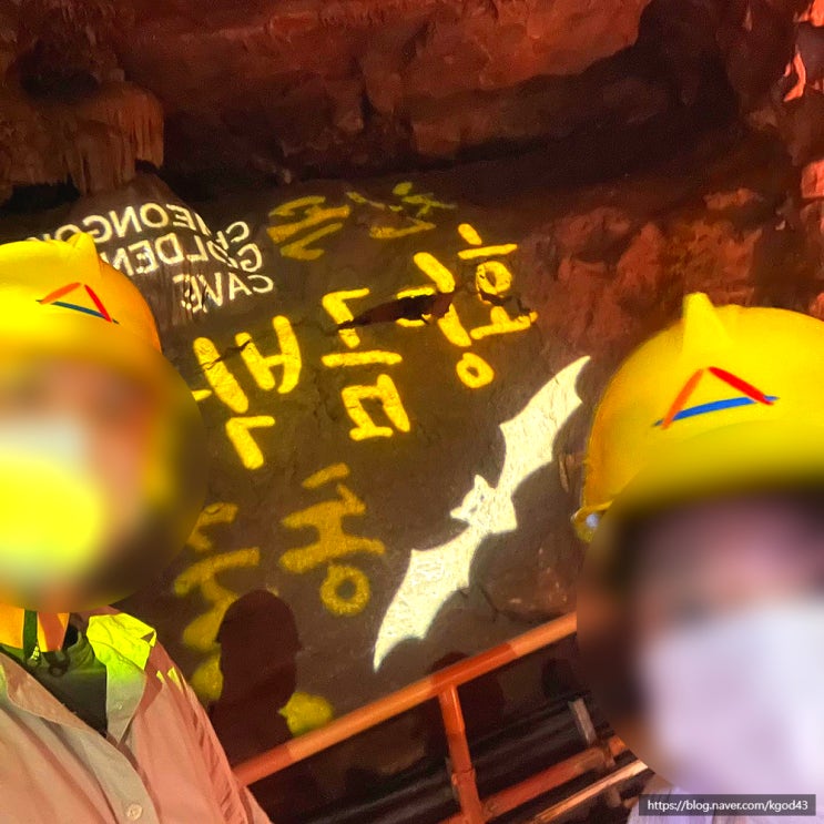  [동해 가볼만한곳] 황금박쥐동굴 후기