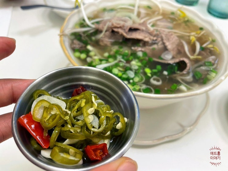  정자역 쌀국수맛집 카페거리 베트남음식 맛있는 몬안베띠