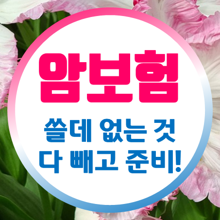  온라인암보험, 쓸데없는 것 다 빼고 준비하세요!