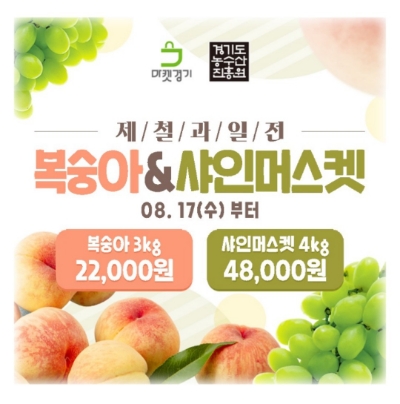  8월 17일 캐시워크 돈버는퀴즈 마켓경기 복숭아 샤인머스켓 정답