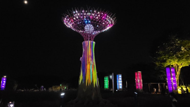  대전 오월드 버드랜드 나이트유니버스 야간개장 필수코스
