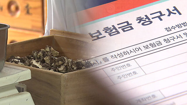 보험금으로 공진단을 먹는다고?..사기 연루된 환자 653명 보험금으로 공진단을 먹는다고?..사기 연루된 환자 653명