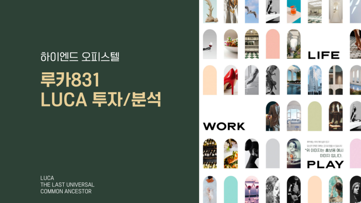  [루카831] 고급 강남 오피스텔 분석 투자 가치가 있을까