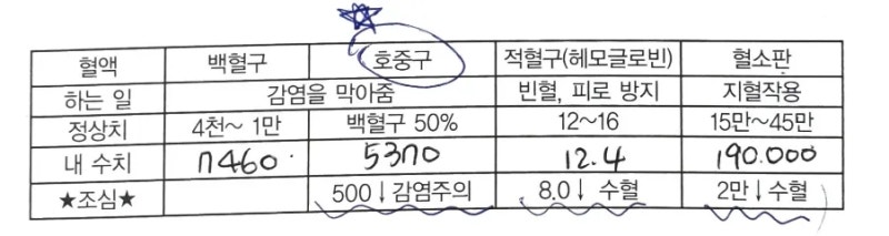 다발골수종 검사. 항암치료 시작