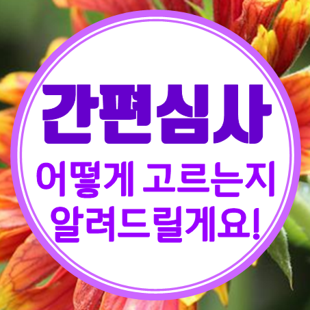  간편심사보험 어떻게 고르면 되는지 알려드릴게요!