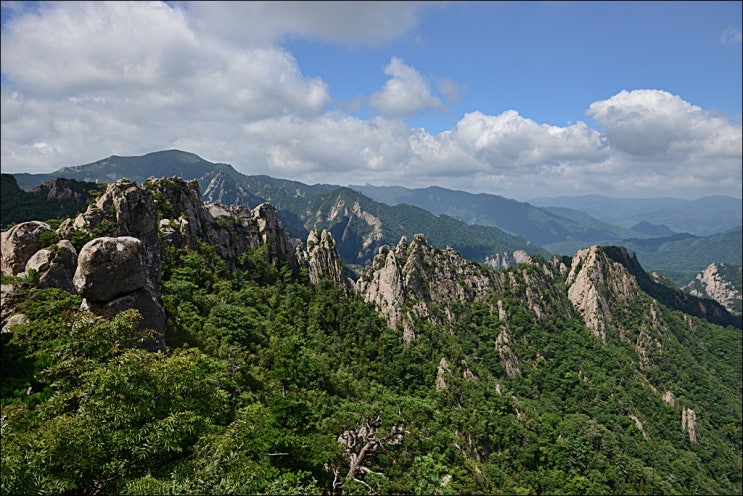  설악산 백담사 원점회귀 산행 ( feat. 주차정보, 봉정암, 오세암)
