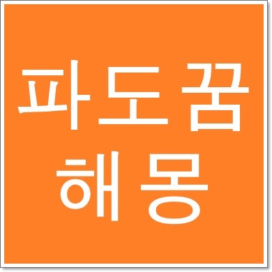 파도꿈 해몽 큰 파도 꿈 파도치는꿈 타는꿈 파도가 덮치는 꿈 휩쓸리는 꿈