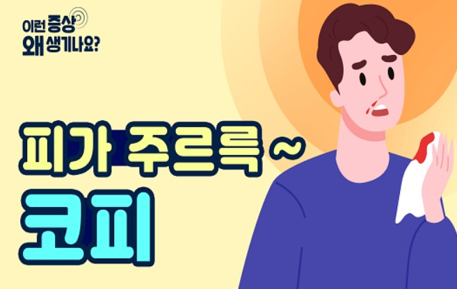  비출혈(Epistaxis, Nosebleeding) (1) - 코피가 나와요, 코피가 자주 나요, 코피가 안 멈춰요 - 해부학적 구조, 병태 생리, 원인
