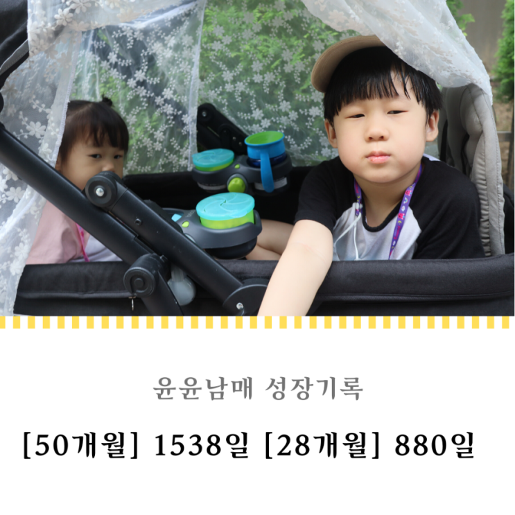 1538일 880일 : 장난꾸러기 아드님