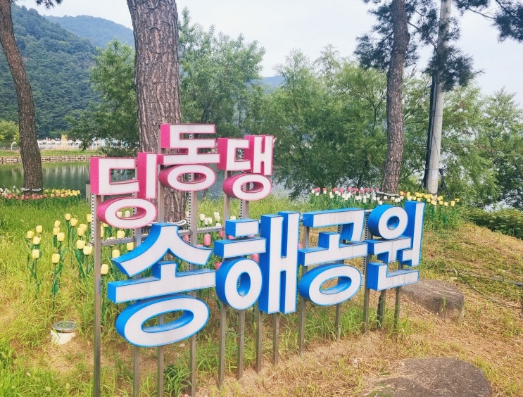 대구 가볼만한 곳  옥연지 송해공원