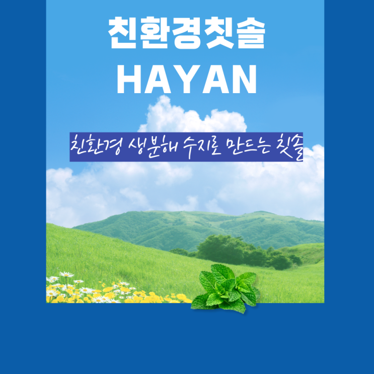 친환경 칫솔 하얀 (HAYAN) : 내돈내산 사용 후기