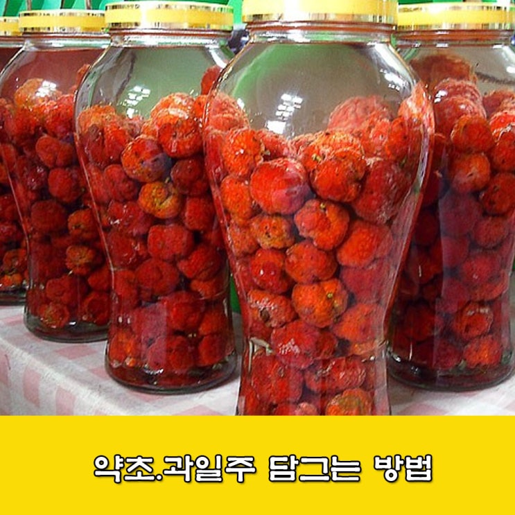  과일주. 약초 술. 담금주. 술 담그는 방법. 알코올 도수