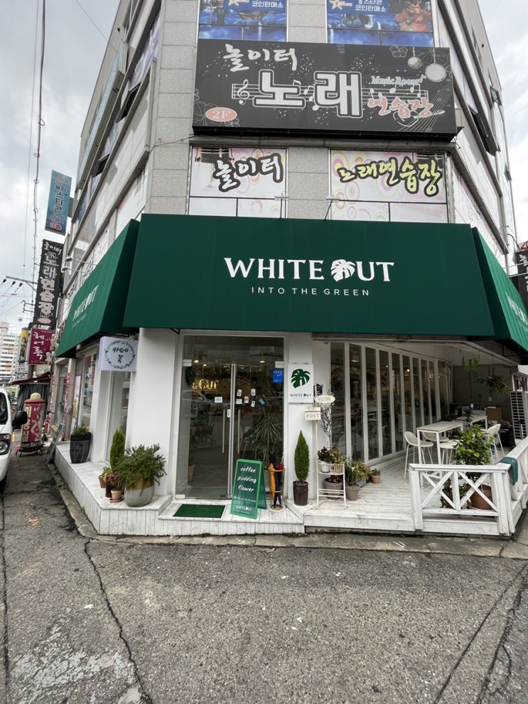  화이트아웃 인투 더 그린