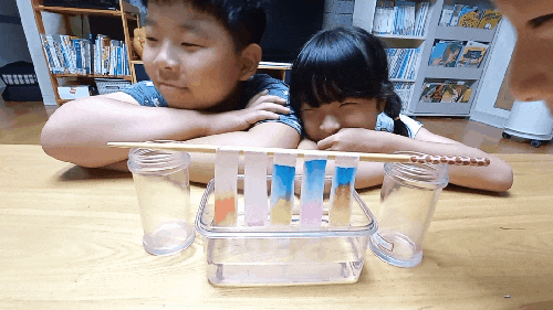 [과학실험] 사인펜으로 만드는 크로마토그래피(모세관 현상)