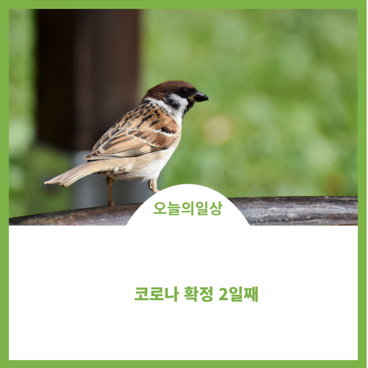  코로나 확진 2일째