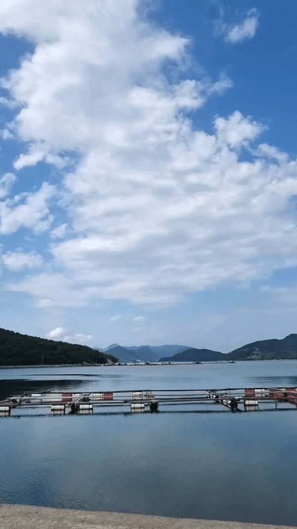 통영 한산도 여행 | 한산<b>농협</b>카페리호에 <b>차량</b>선적하고 들어가기... 