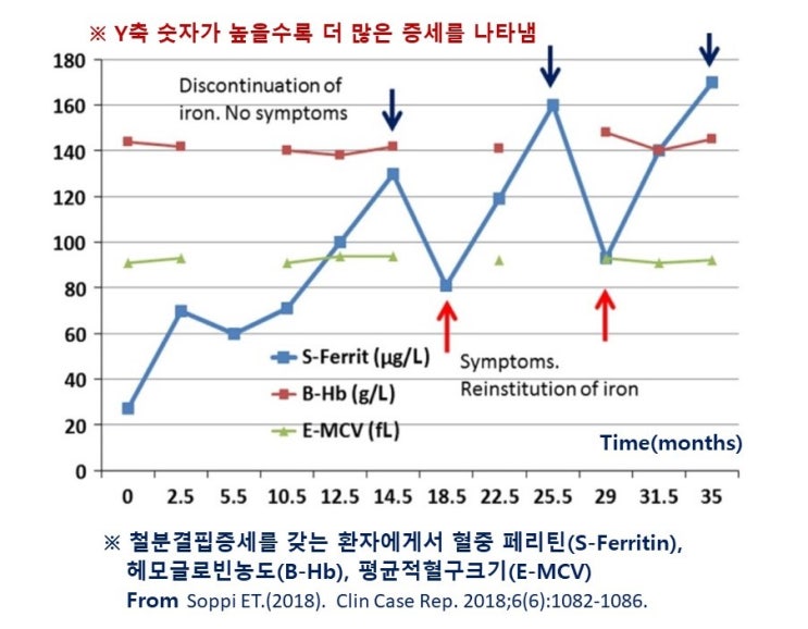  마라톤 러너(runner)에게 잘 나타나는 철분결핍증(Iron deficiency), 운동성빈혈(Sports Anemia)