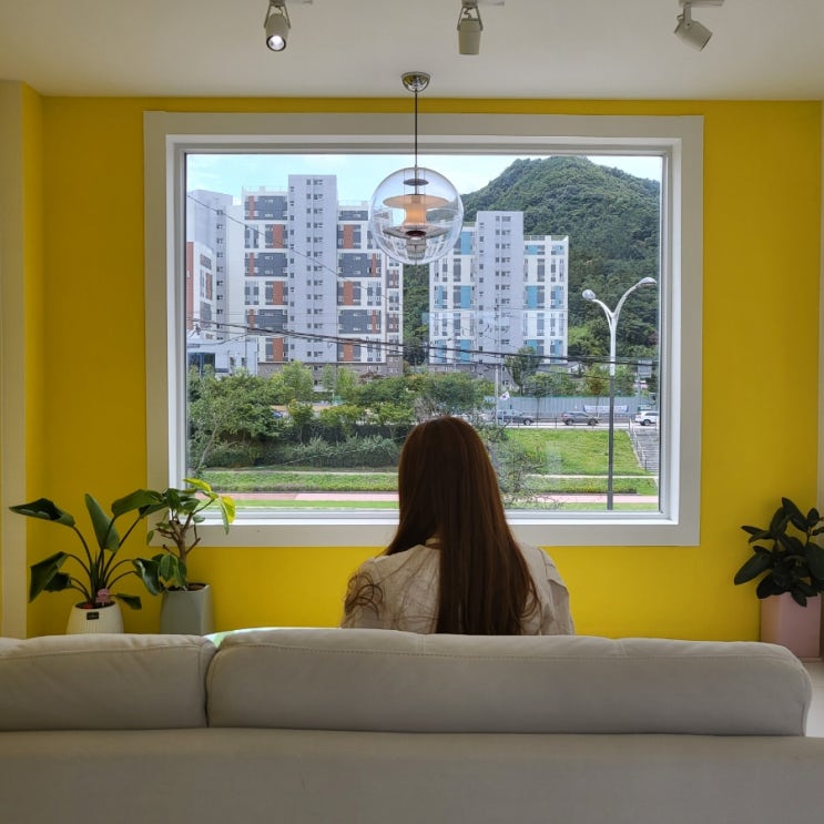  정읍카페 블라썸 천변 산책코스에 위치한 정읍애견동반카페