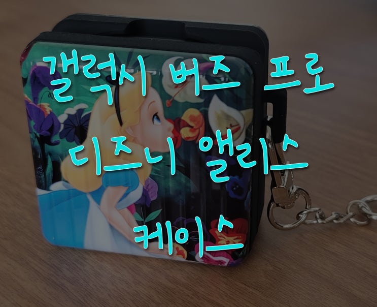  [갤럭시] 버즈 프로 앨리스 케이스 내돈내산