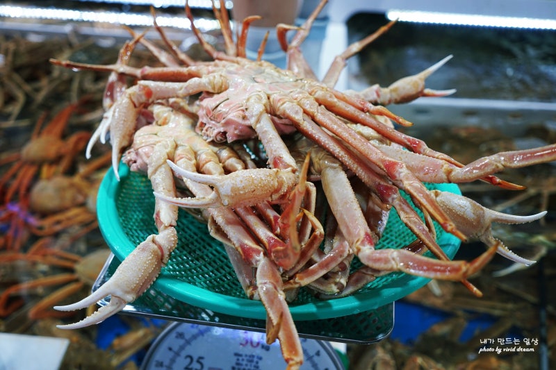 주문진 수산시장 홍게, 수산물 주문진항 구경