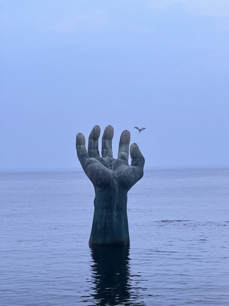  [블챌] 8월 3주차 사진일기