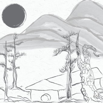  Dust