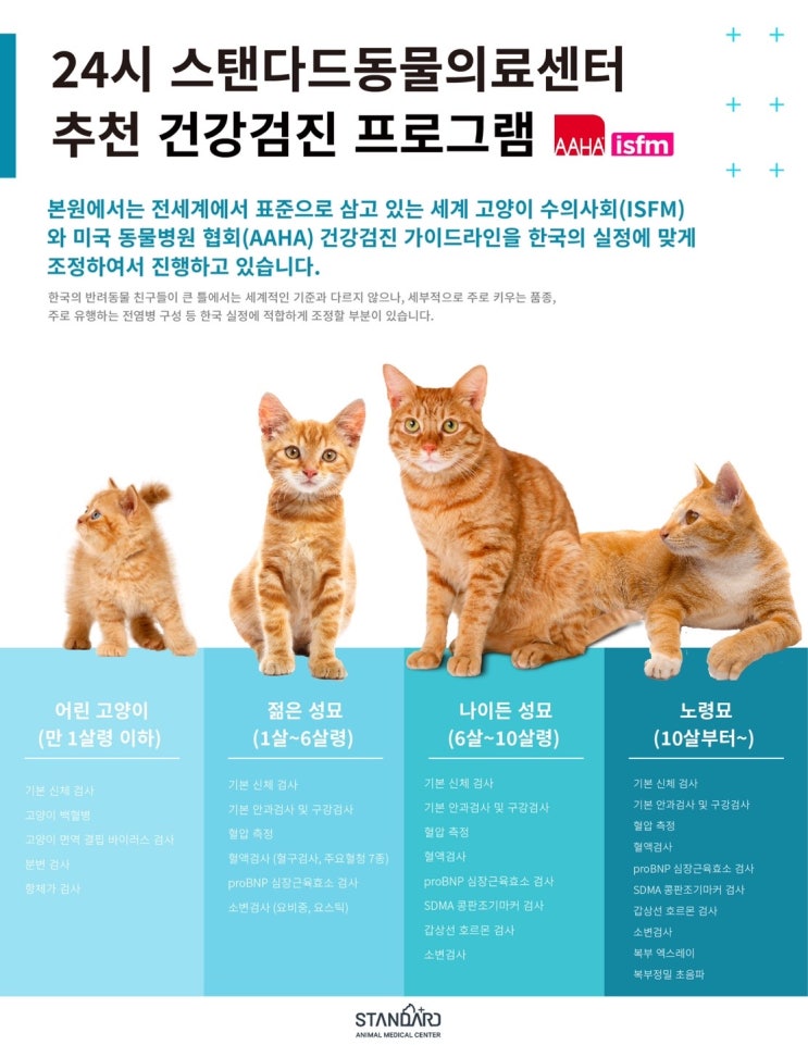  고양이 건강검진 프로그램 안내 - 24시 스탠다드 동물의료센터