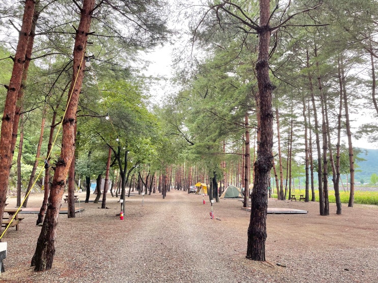 [CAMP] 삼척 병풍바위야영장