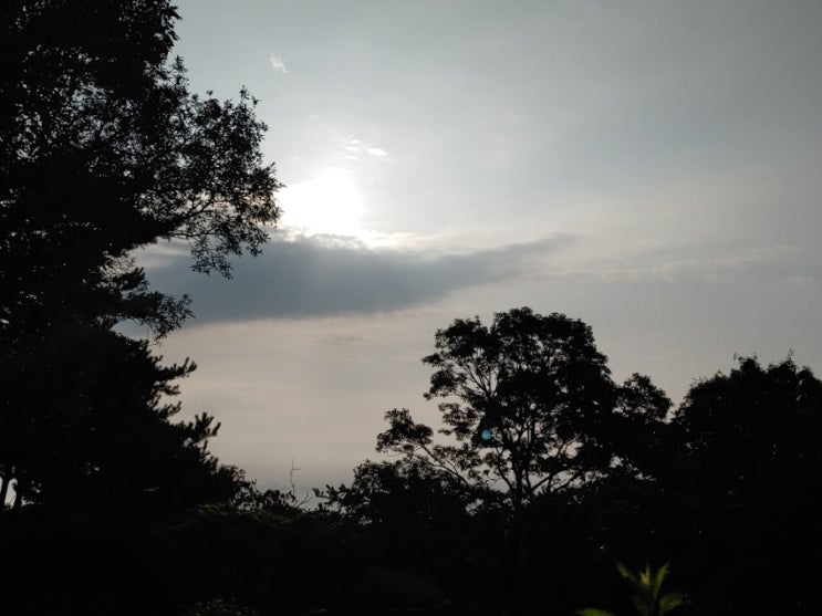 오늘아침 설봉산(호암약수-정상-구암약수)의 푸르른 모습들 오늘아침 설봉산(호암약수-정상-구암약수)의 푸르른 모습들