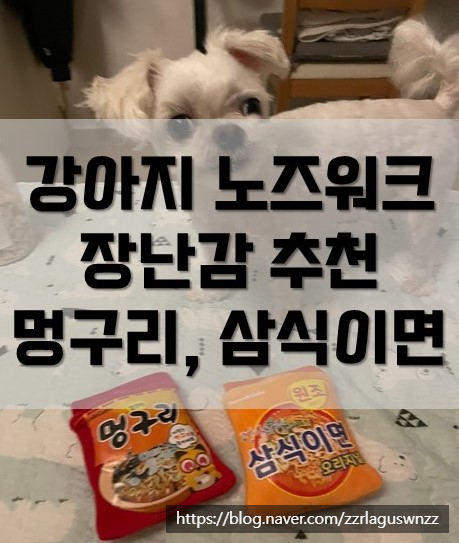  [강추]강아지 노즈워크 장난감 바스락 라면 장난감 멍구리 삼식이면