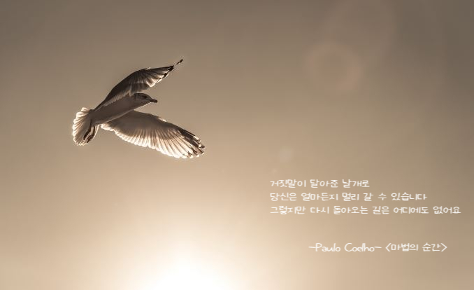  거짓말