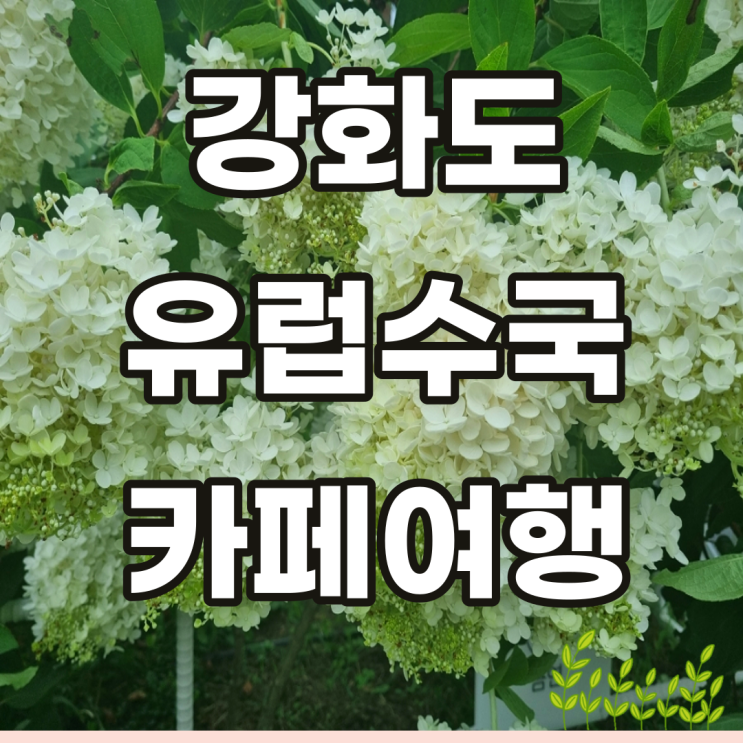  강화도 카페여행 유럽수국정원 Photo zone 도레도레빌리지 셀로스터스 special coffee