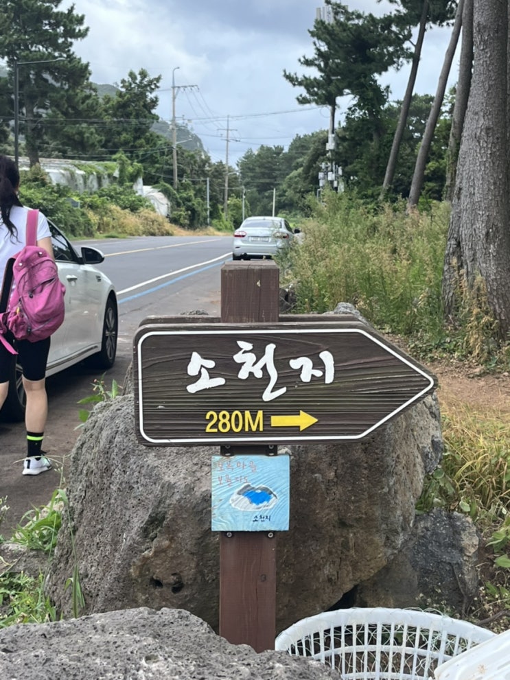  제주도14일차 / 소천지 , 남원 흑돼지 연탄골목