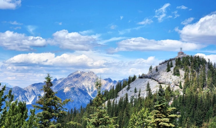  캐나다 로키 트레킹  설퍼산(Sulphur Mountain)