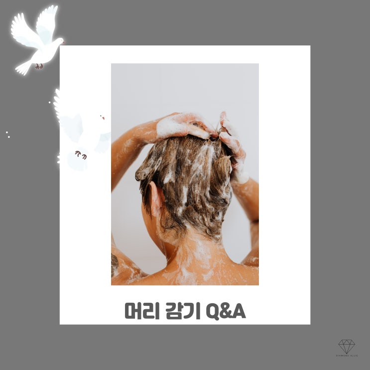  [Q&A] 노푸 효과? 머리 감는 시간대?