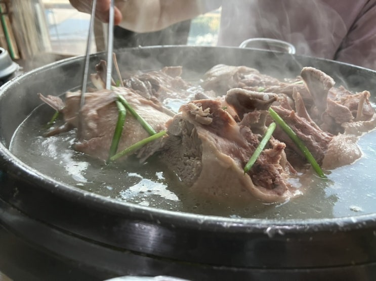 말복, 행주산성 누룽지 백숙 오리요리 장수촌에 방문하다 말복, 행주산성 누룽지 백숙 오리요리 장수촌에 방문하다