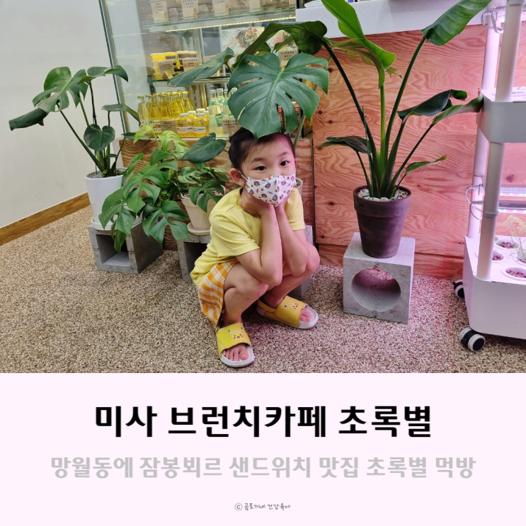 미사 브런치카페 초록별, 망월동 잠봉뵈르 샌드위치 맛집이네요 미사 브런치카페 초록별, 망월동 잠봉뵈르 샌드위치 맛집이네요