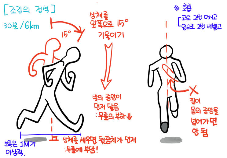  [운동] 초보를 위한 조깅 방법과 자세 정리-내가 초보라서 ㅇㅇ