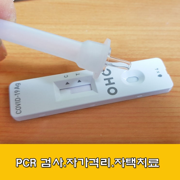 PCR 검사, 자가격리, 자택 치료, 자가격리 해제일