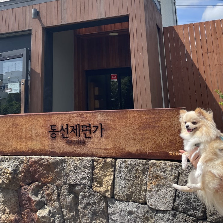  애견(반려견) 동반 식당, 제주 서귀포 "동선제면가"