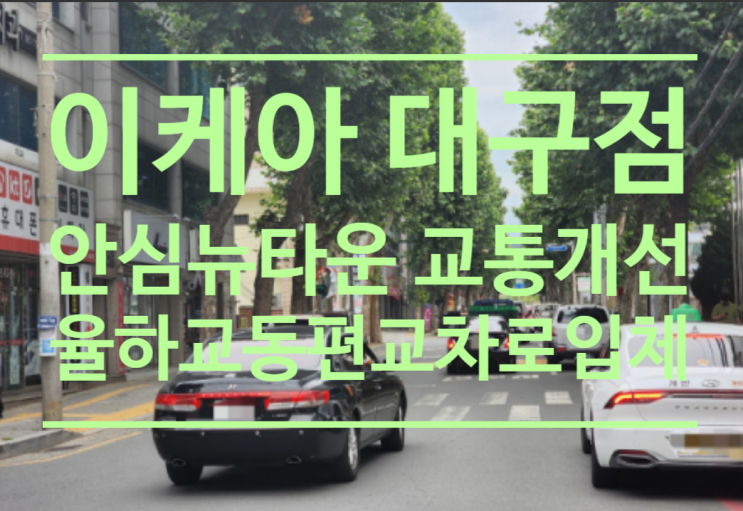  이케아 대구점 들어서는 안심뉴타운 교통개선...율하교 동편 교차로 입체화