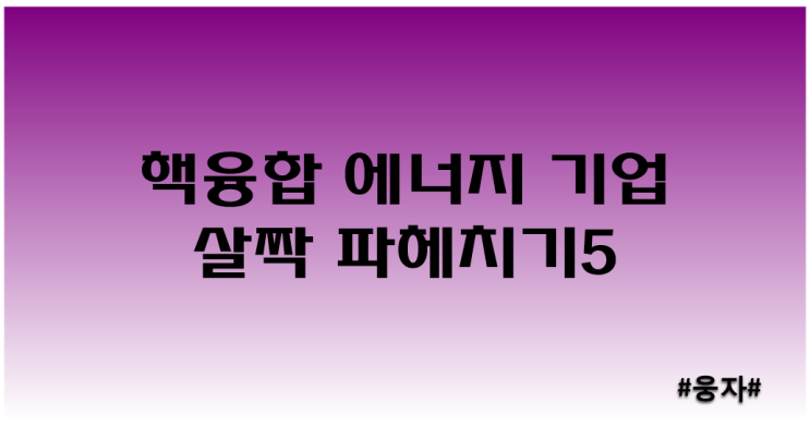  핵융합 에너지 기업 시리즈_비츠로테크